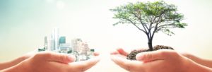 Pequenas Praticas Sustentaveis Blog Contabilidade Ambiental - Contabilidade Ambiental