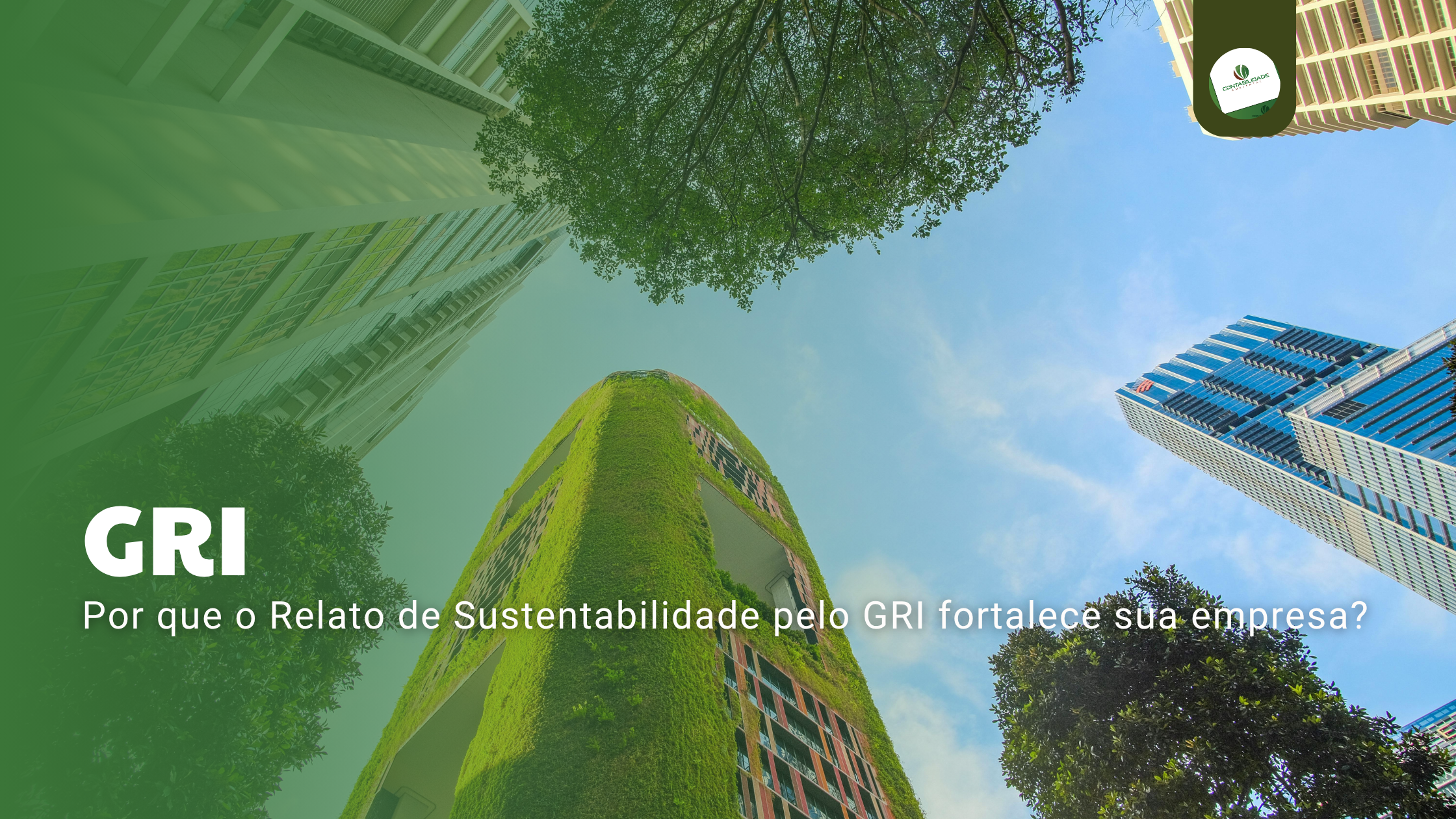 Gri - Contabilidade Ambiental