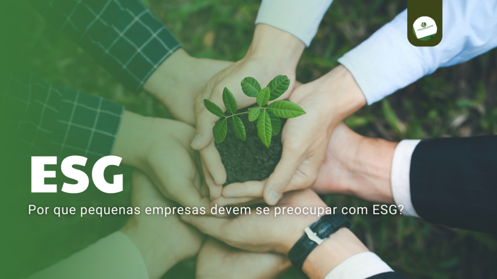 Gri - Contabilidade Ambiental